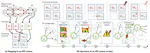 The information processing factory: a paradigm for life cycle management of dependable systems