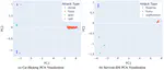 Identifying Novel CAN Bus Attack Types at Runtime